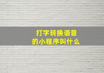 打字转换语音的小程序叫什么