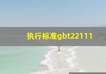 执行标准gbt22111