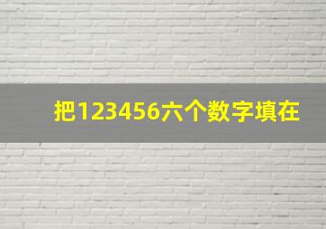 把123456六个数字填在