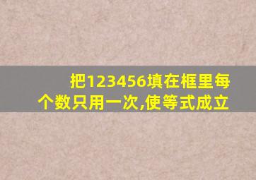 把123456填在框里每个数只用一次,使等式成立