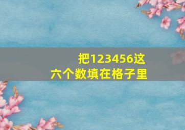 把123456这六个数填在格子里