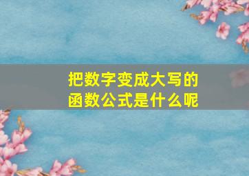 把数字变成大写的函数公式是什么呢