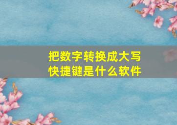 把数字转换成大写快捷键是什么软件