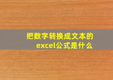 把数字转换成文本的excel公式是什么