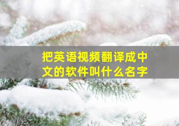 把英语视频翻译成中文的软件叫什么名字