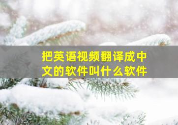 把英语视频翻译成中文的软件叫什么软件