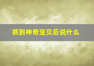 抓到神奇宝贝后说什么