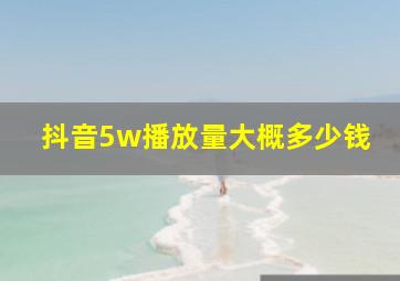 抖音5w播放量大概多少钱