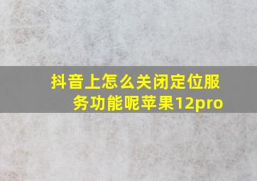 抖音上怎么关闭定位服务功能呢苹果12pro