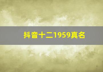 抖音十二1959真名