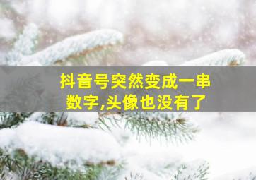 抖音号突然变成一串数字,头像也没有了