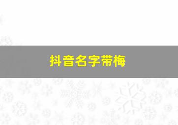 抖音名字带梅