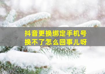 抖音更换绑定手机号换不了怎么回事儿呀