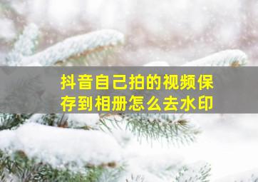 抖音自己拍的视频保存到相册怎么去水印