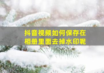 抖音视频如何保存在相册里面去掉水印呢