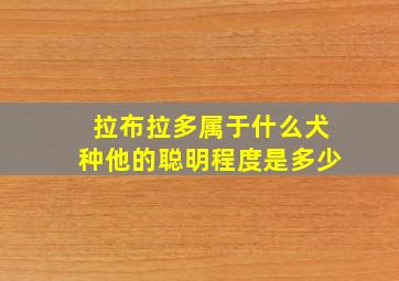 拉布拉多属于什么犬种他的聪明程度是多少