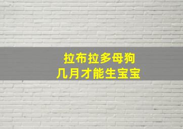 拉布拉多母狗几月才能生宝宝