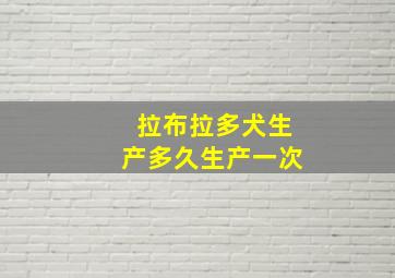 拉布拉多犬生产多久生产一次