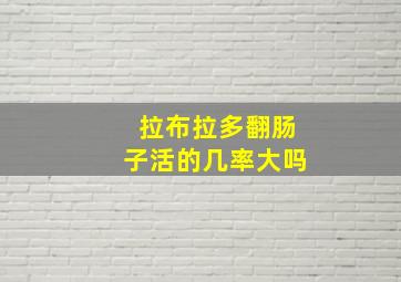 拉布拉多翻肠子活的几率大吗