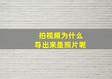 拍视频为什么导出来是照片呢