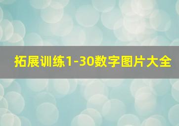 拓展训练1-30数字图片大全