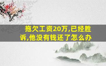 拖欠工资20万,已经胜诉,他没有钱还了怎么办