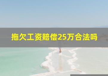 拖欠工资赔偿25万合法吗