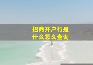 招商开户行是什么怎么查询