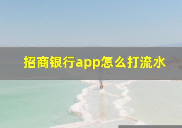 招商银行app怎么打流水