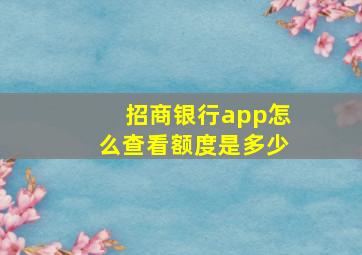 招商银行app怎么查看额度是多少