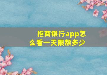 招商银行app怎么看一天限额多少