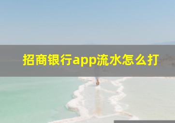 招商银行app流水怎么打