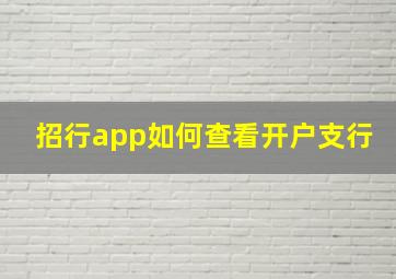 招行app如何查看开户支行