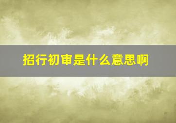 招行初审是什么意思啊