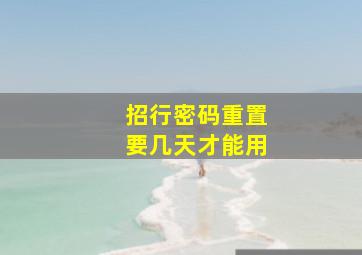 招行密码重置要几天才能用