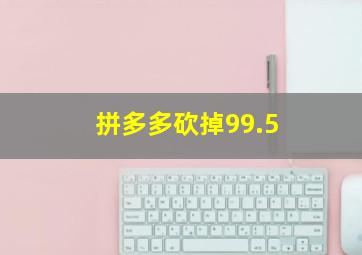 拼多多砍掉99.5