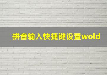 拼音输入快捷键设置wold