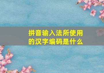 拼音输入法所使用的汉字编码是什么