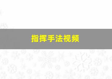 指挥手法视频