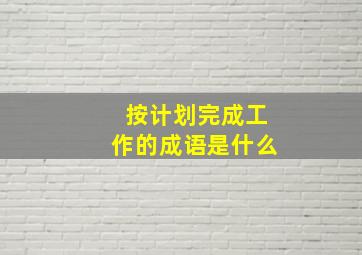 按计划完成工作的成语是什么