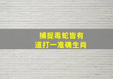 捕捉毒蛇皆有道打一准确生肖