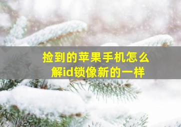 捡到的苹果手机怎么解id锁像新的一样