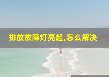 排放故障灯亮起,怎么解决