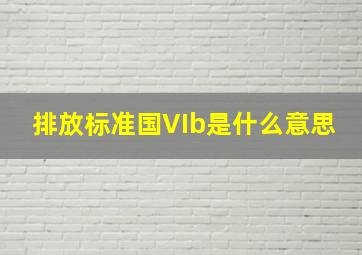 排放标准国VIb是什么意思