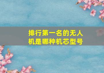 排行第一名的无人机是哪种机芯型号