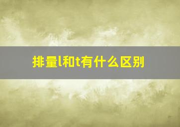 排量l和t有什么区别