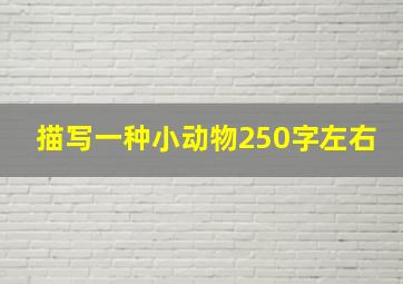 描写一种小动物250字左右