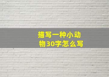 描写一种小动物30字怎么写