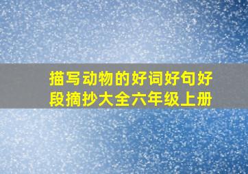 描写动物的好词好句好段摘抄大全六年级上册