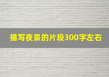 描写夜景的片段300字左右